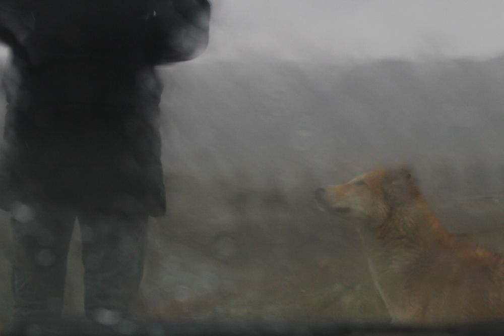 Фотография автора Elyas Iranmanesh