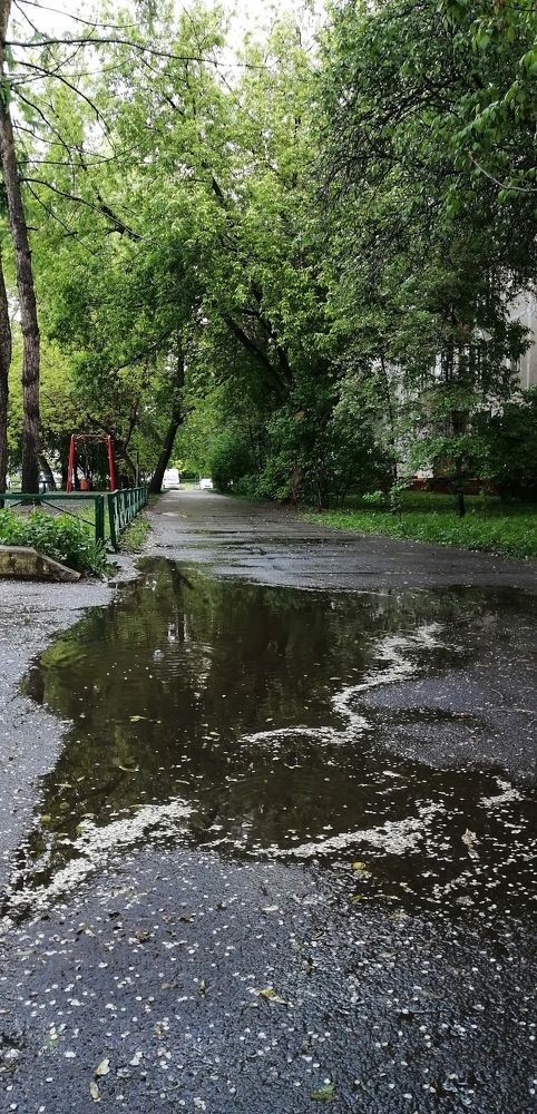 Photograph by Вероника