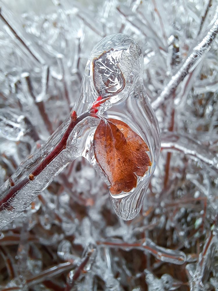 Photograph by Мычаковский Дмитрий