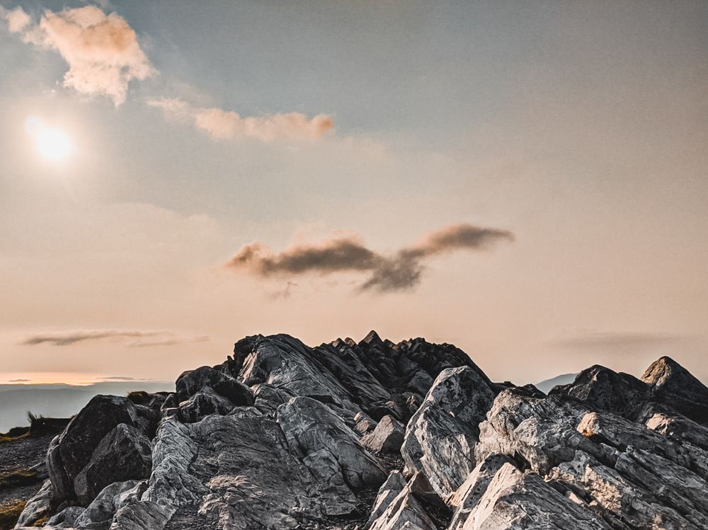 L'oiseau du Connemara