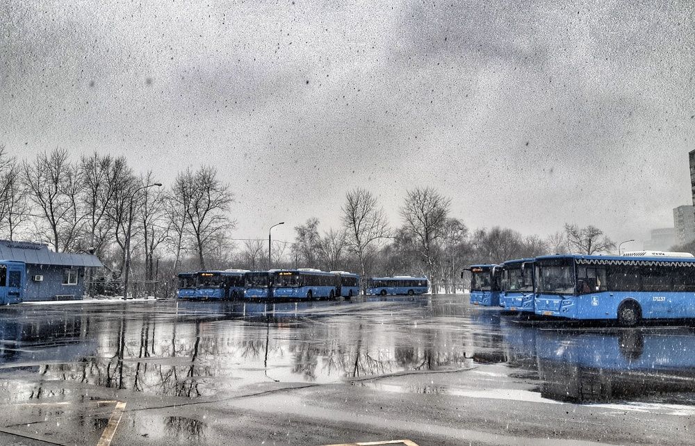 Photograph by Ольга Хромова