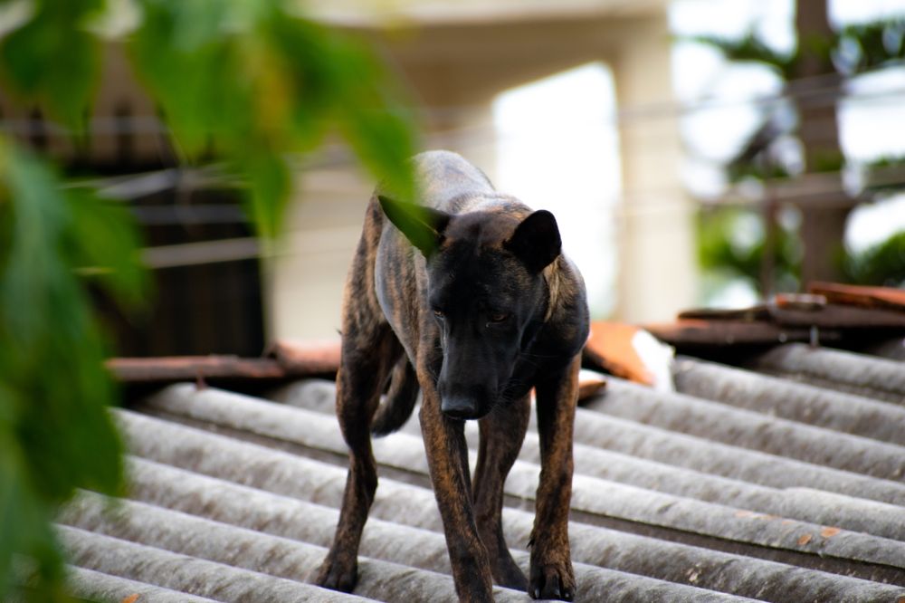 Photograph by Juan Carlos Pascual López