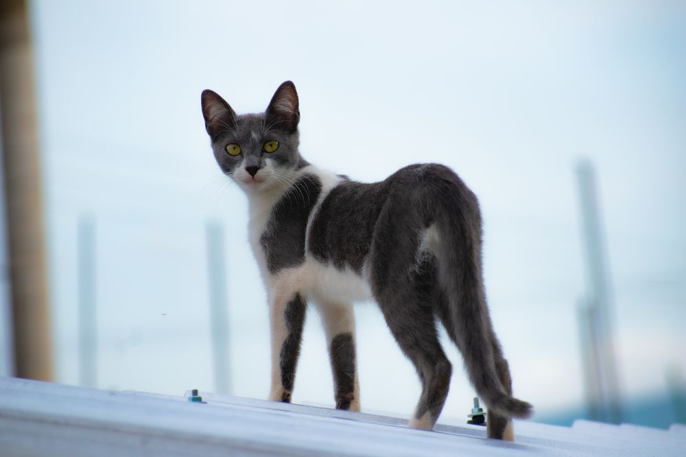 Photograph by Juan Carlos Pascual López