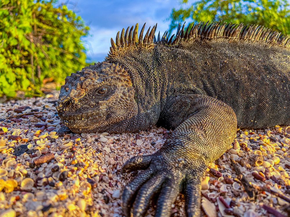 Photograph by Svetoslav Bonev