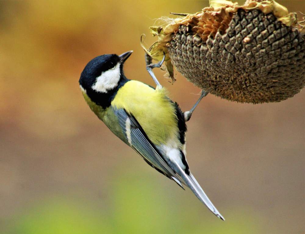 Photograph by Ольга Митрофанова