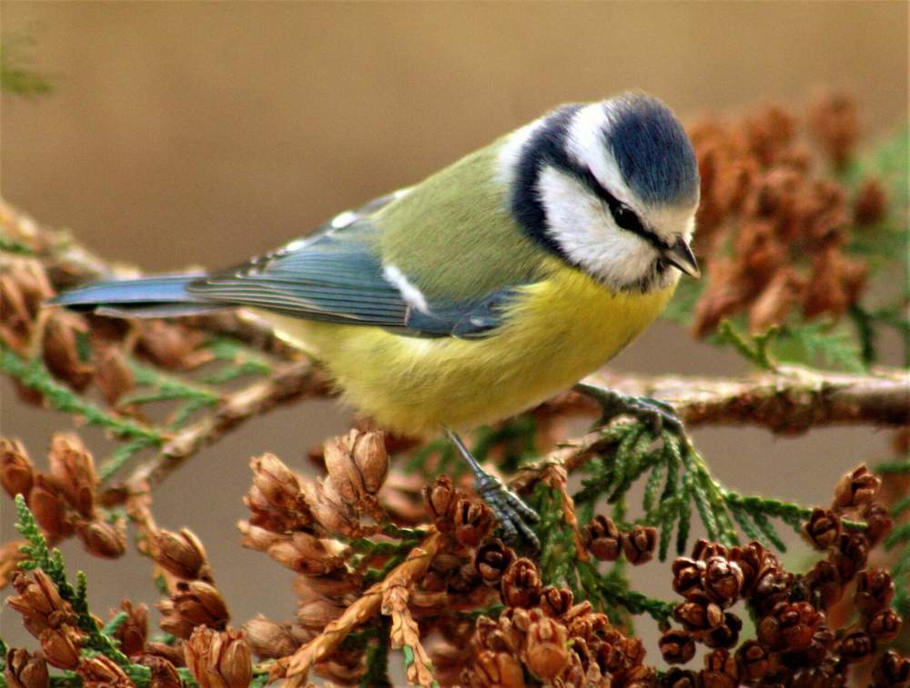 Photograph by Ольга Митрофанова