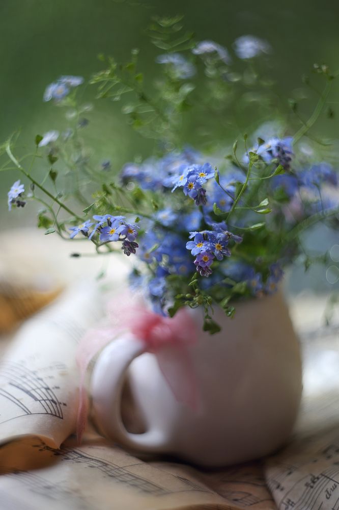 Мелодия  весны