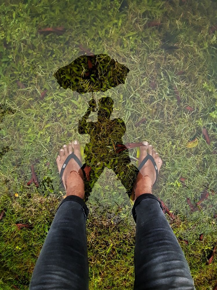 Into the mirror world!