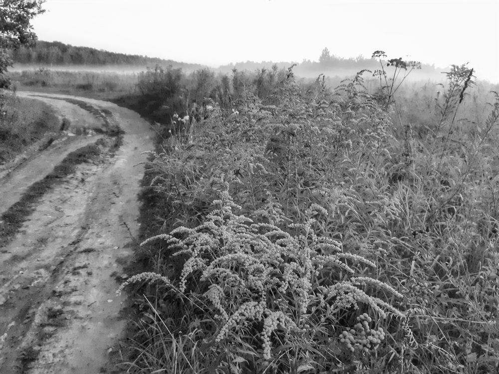 Photograph by Татьяна Сурова