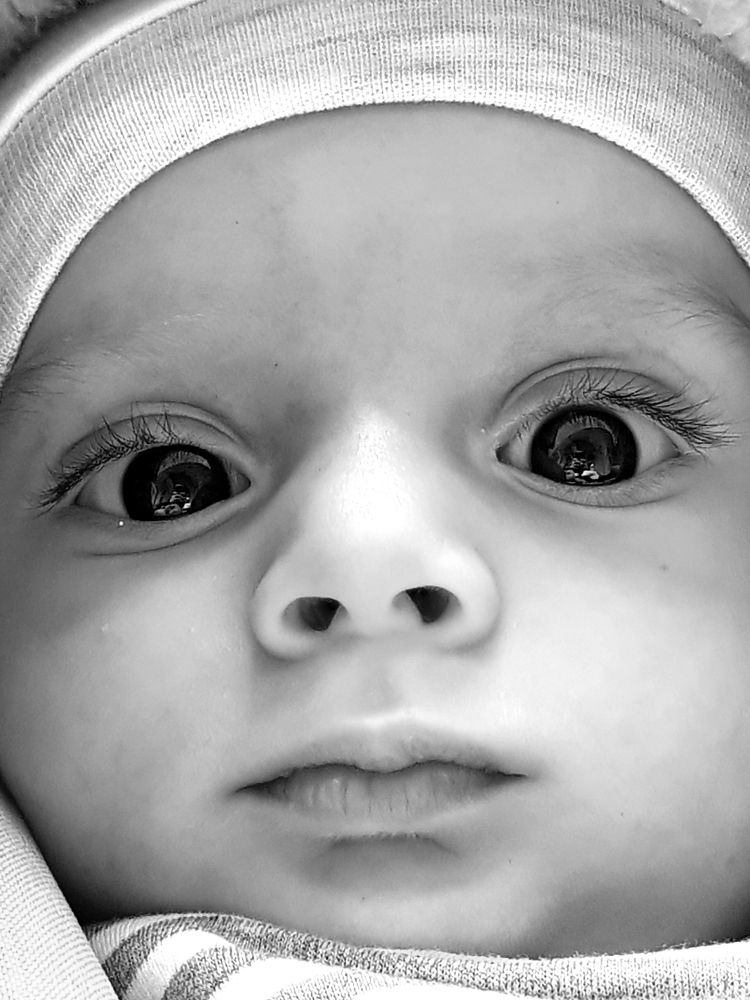 Photograph by Zahra HassanPour