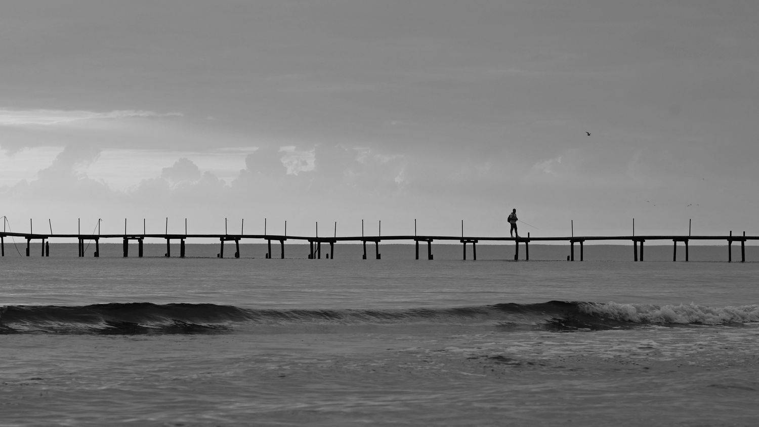 Photo #7613872