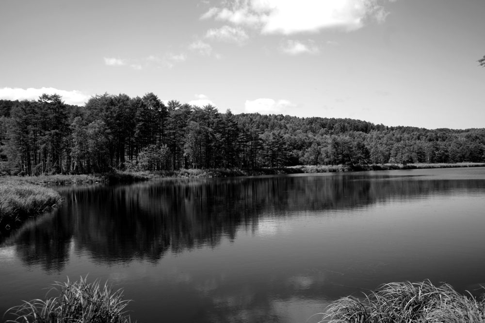 Photograph by Анна Брылева