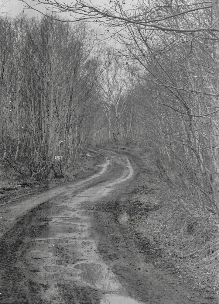 Photograph by Даниил Попков