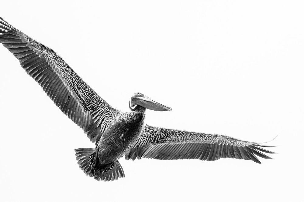 Photograph by Thomas Dunston