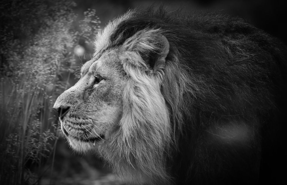 Photograph by stephanie taylor