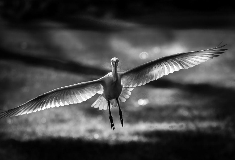 Photograph by Thomas Dunston