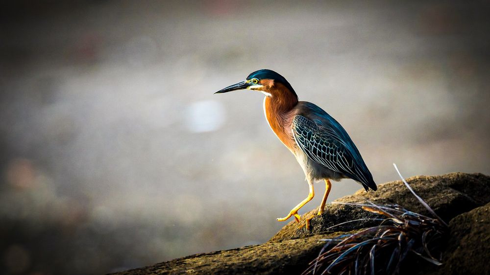 Photograph by Thomas Dunston