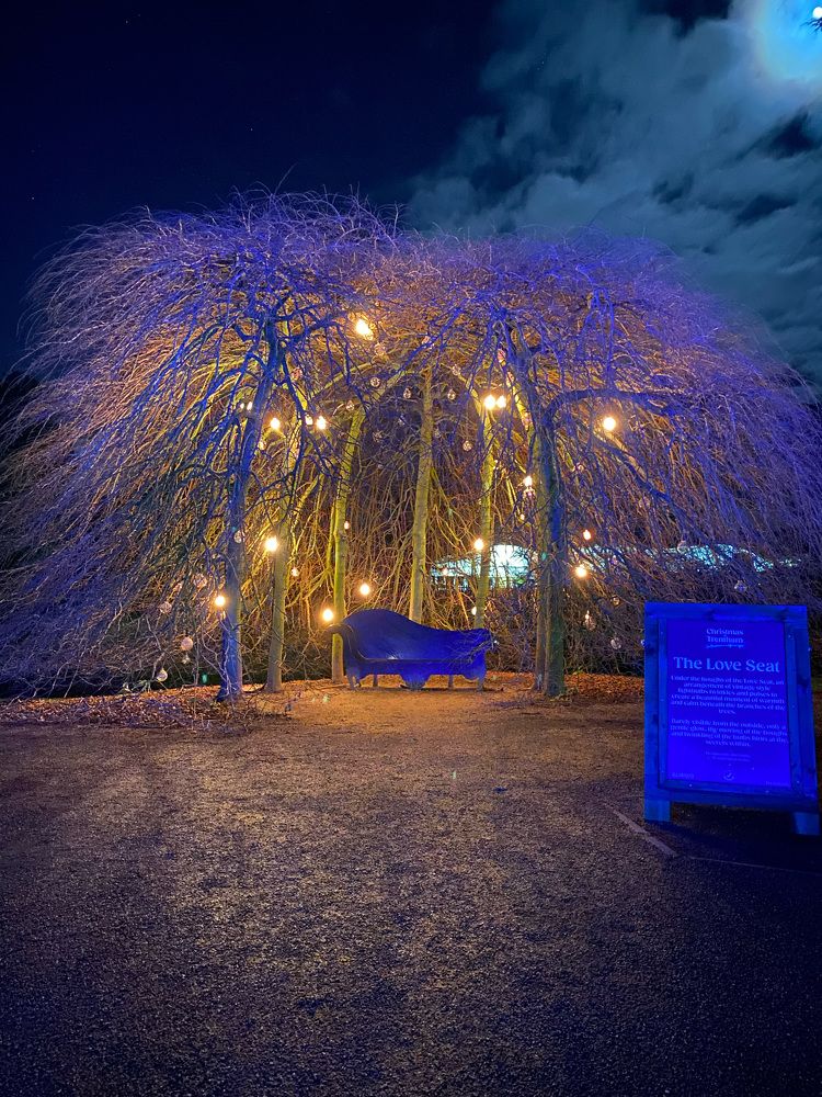 Photograph by stephanie taylor