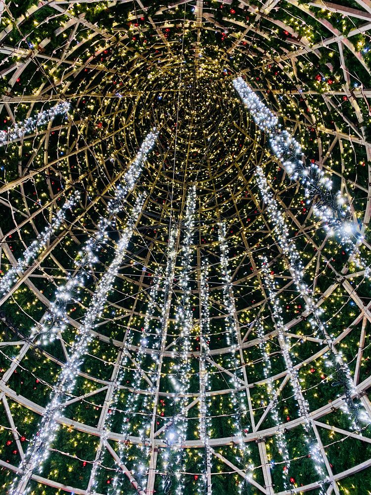 Photograph by stephanie taylor