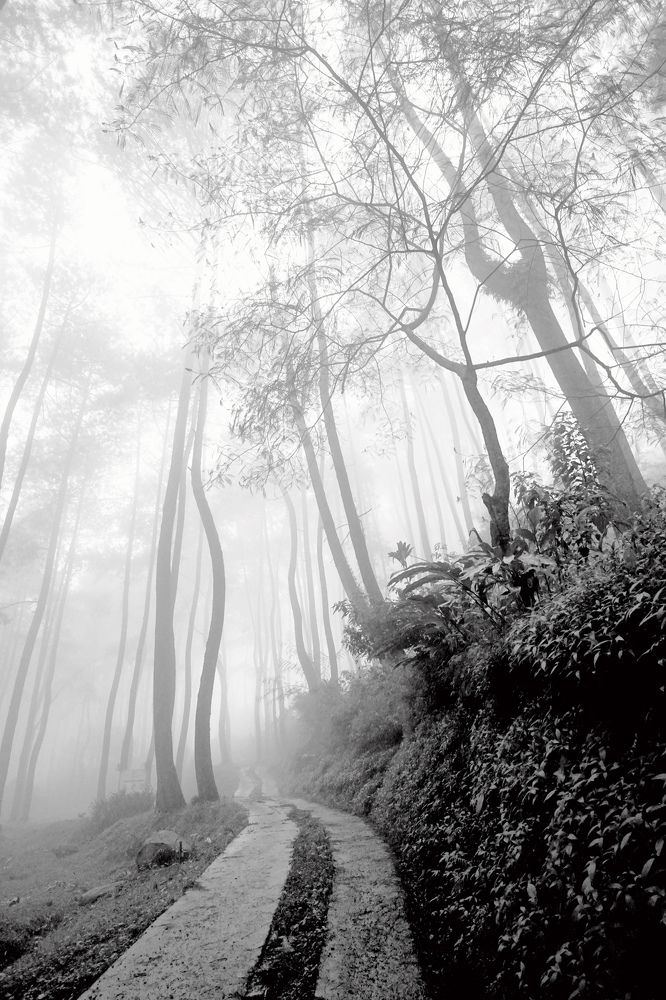 Photograph by Yosa Fiandra