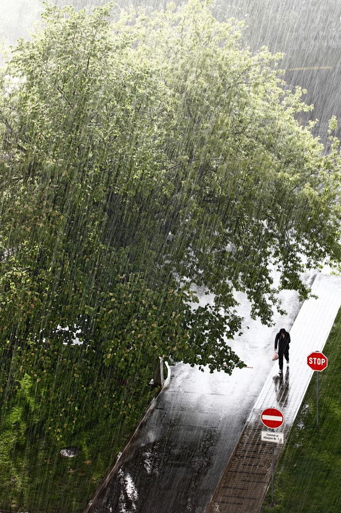 Фотография автора Сергей Барановский