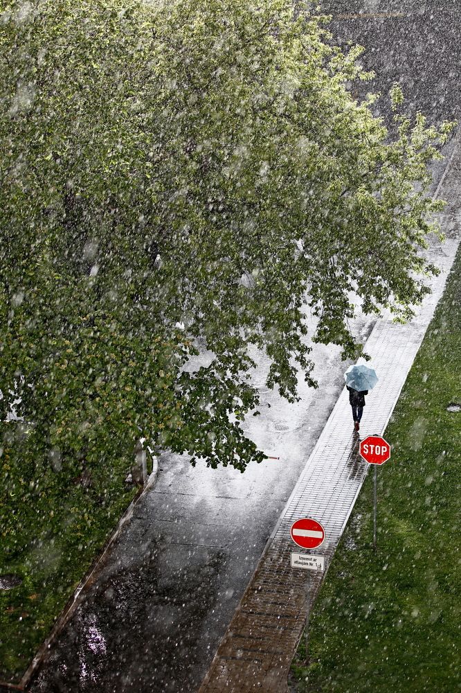 Фотография автора Сергей Барановский