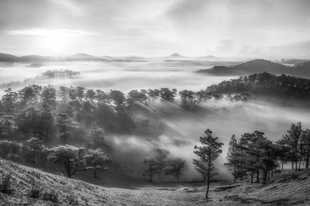 Photograph by Tran Khoa