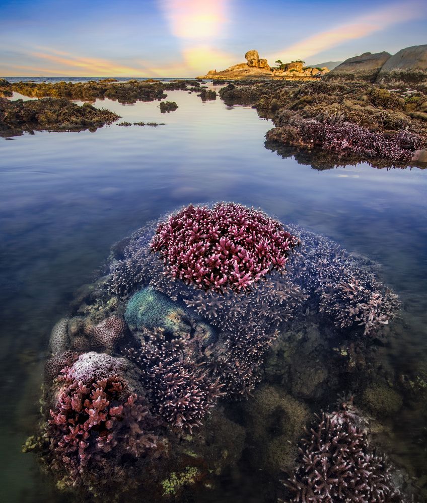 Photograph by Tran Khoa