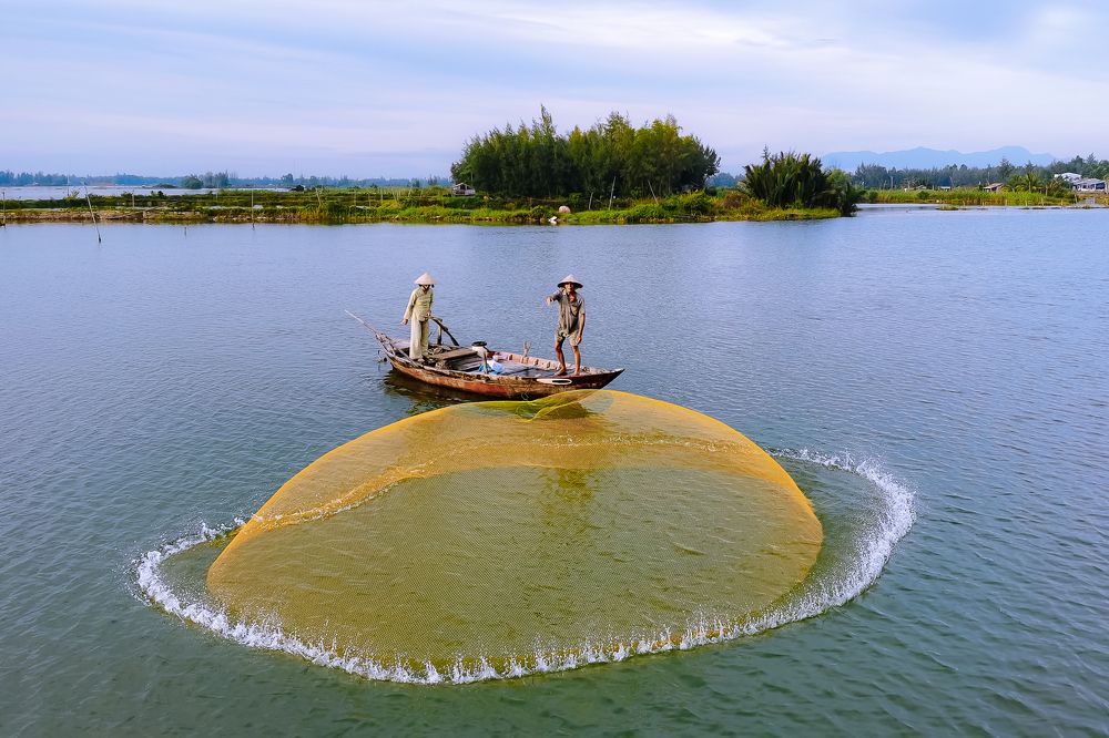 Cast a net to catch fish!