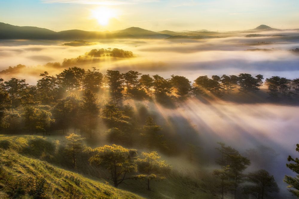 Photograph by Tran Khoa