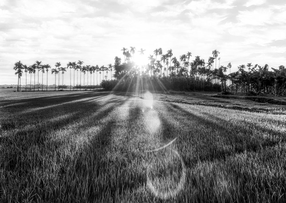 Photograph by Tran Khoa