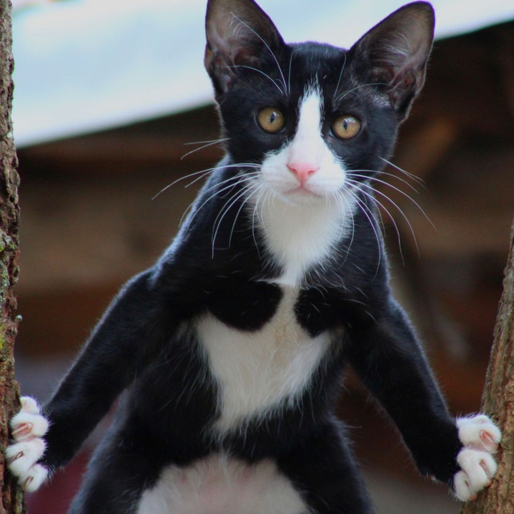 Photograph by Mackton Kipsang