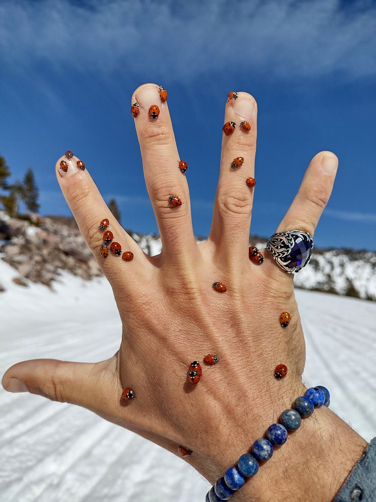 Photograph by Nicolai Mojar