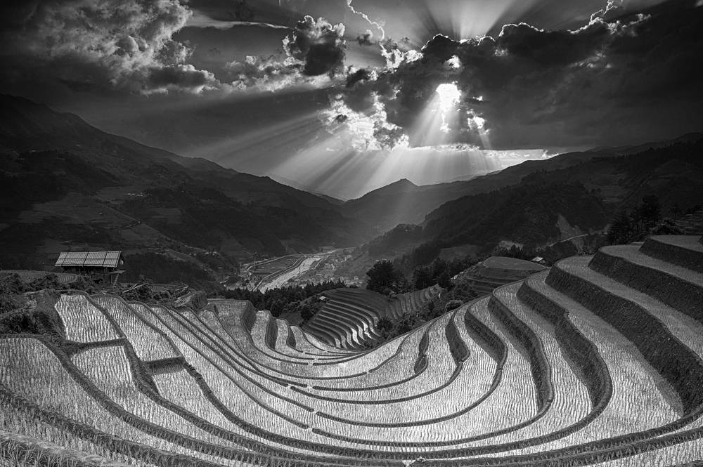 Photograph by Tuan Guitare