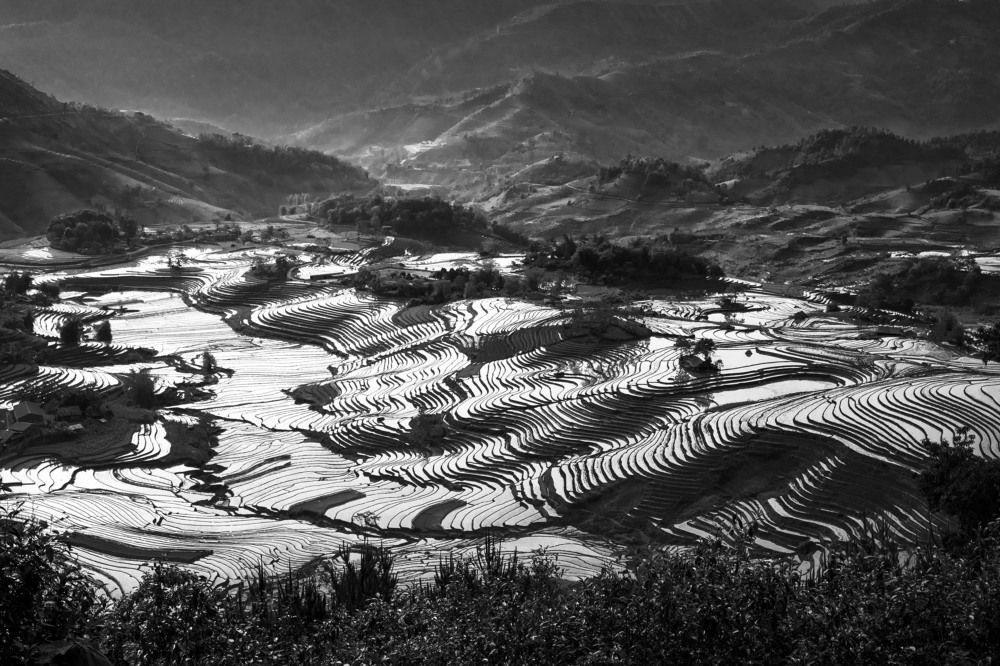 Фотография автора Tuan Guitare