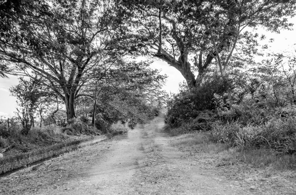 Photograph by Michael McIntosh