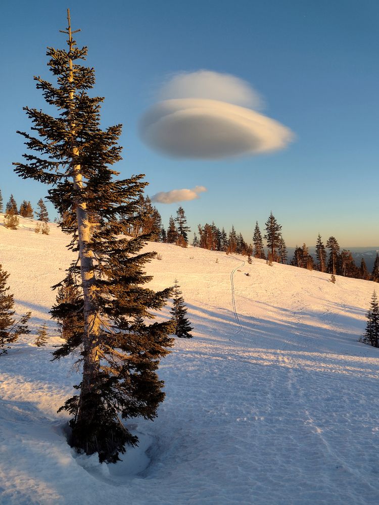 Photograph by Nicolai Mojar