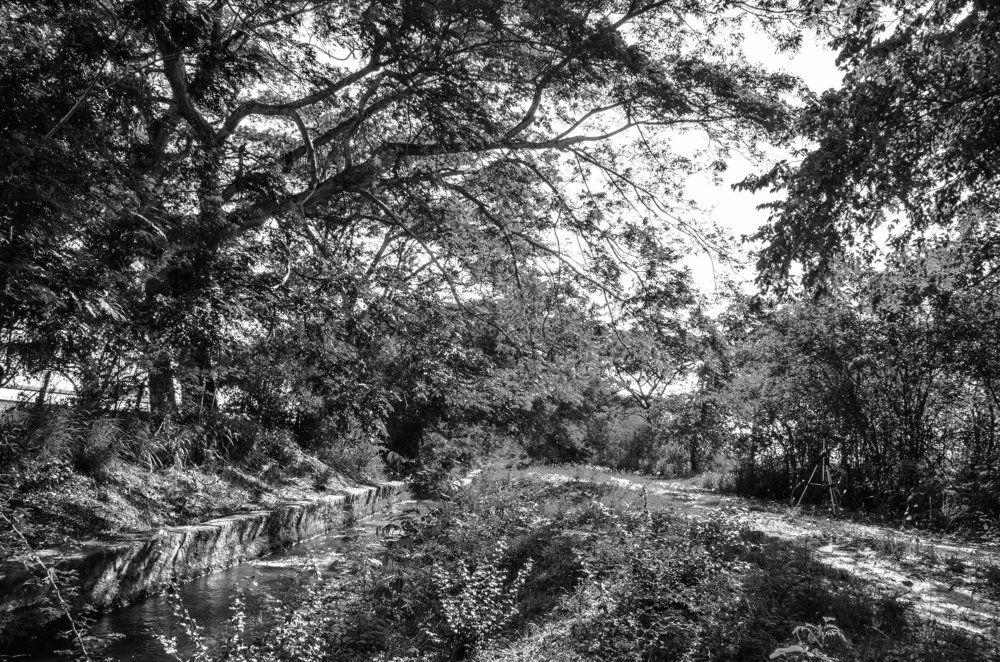 Photograph by Michael McIntosh