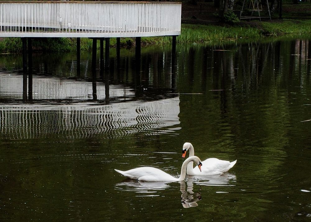 Photograph by Наталья Сафронова