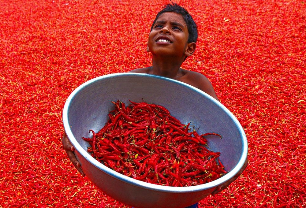 Photograph by PRATYUSH HALDER