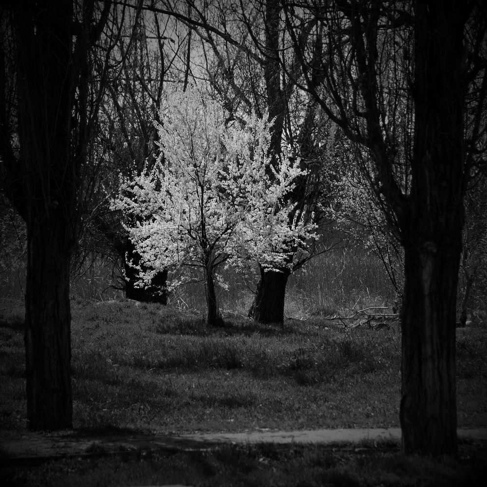 Фотография автора Алексей Батюков