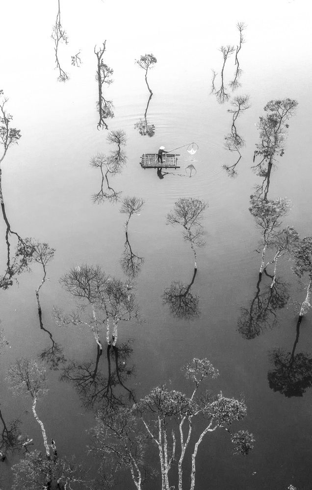 Photograph by Hiếu Nguyễn