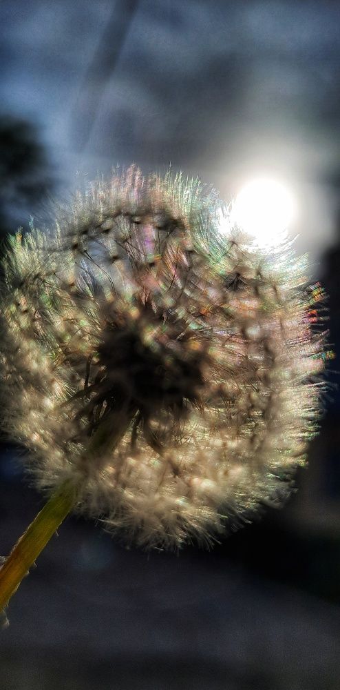 Photograph by Анна