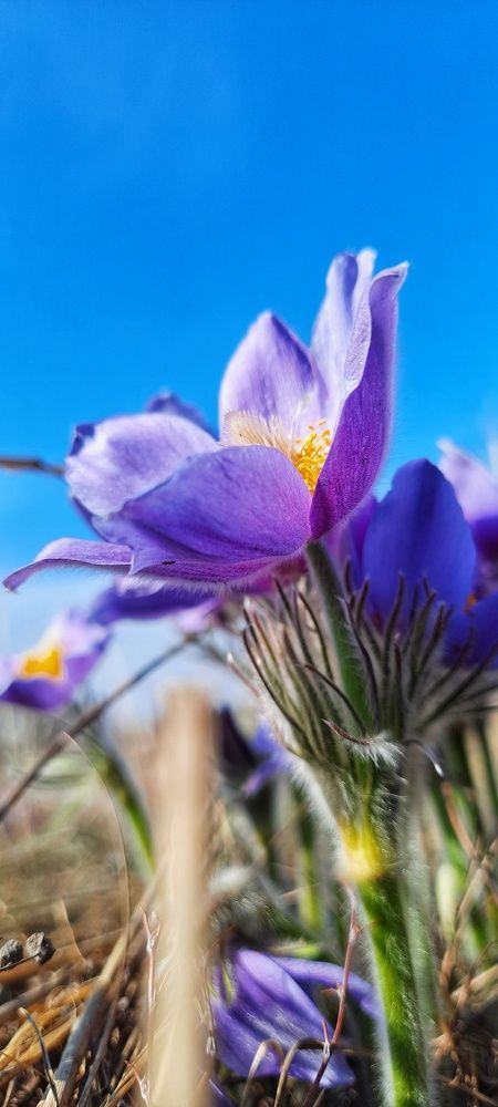 Photograph by Анна