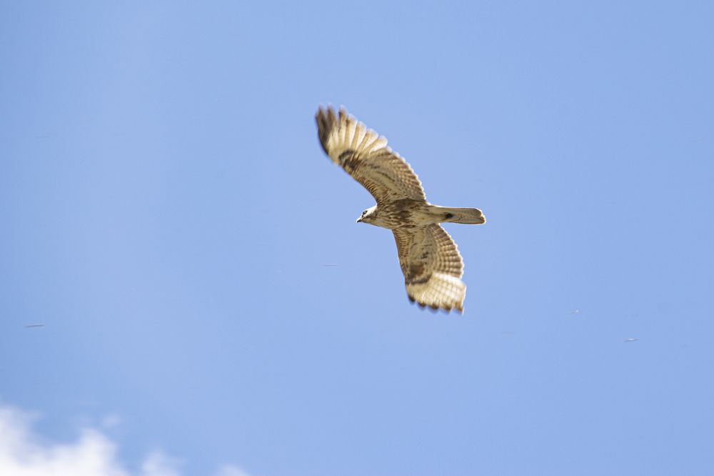 Photograph by Надежда Михайлина