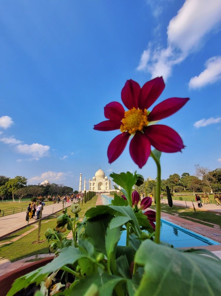 Photograph by Amit Solanki