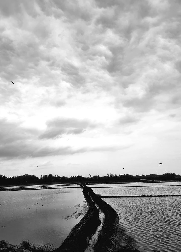 The bird is mortal,Remember the Flying...