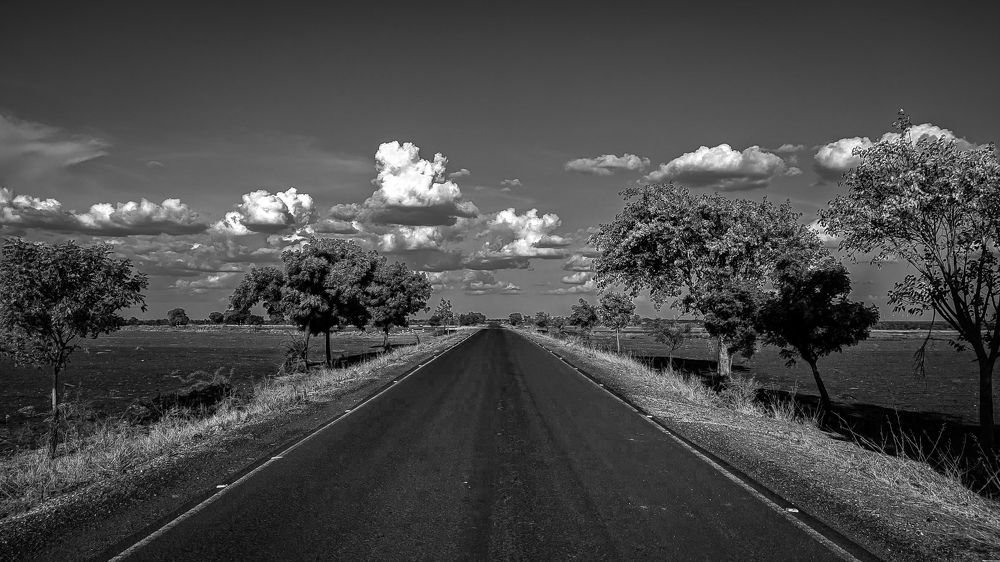 Photograph by Vijayakumar