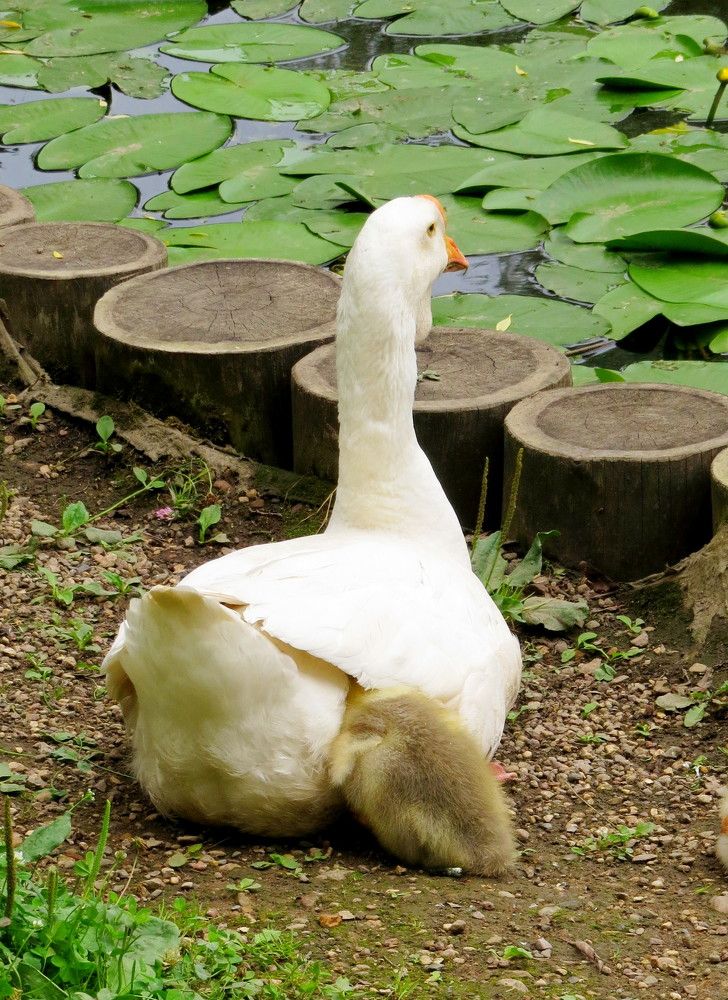 Photograph by Елена