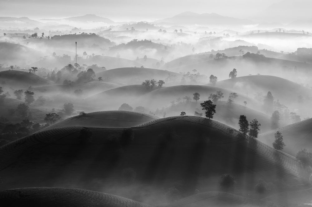 Photograph by Cao Tuan